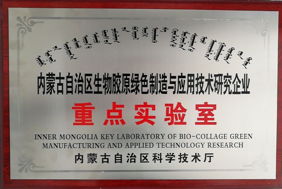 ���ɹ���������ҵ�ص�ʵ����